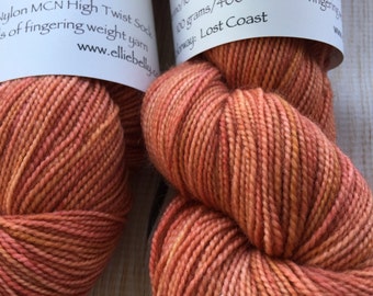 Elliebelly MCN High Twist Sock Yarn "Lost Coast"