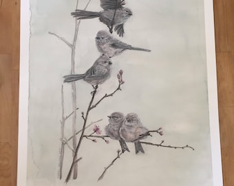 Print: Bushtits in Flowering Plum Tree