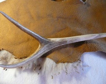 Large Elk Antler Hair Stick Fork with Double Point #200