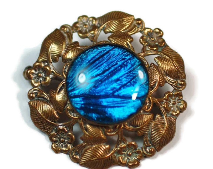 Morpho Butterfly Wing Brooch Brass Setting Floral Design Older