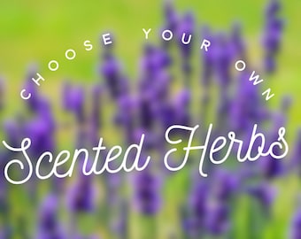 Choose your own herbs - Add Herbs to your scented eye mask - microwavable heating pad - build your own - customized scented sleep mask