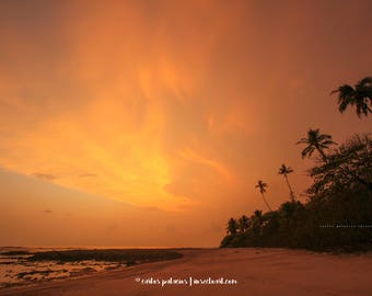 orange sunset, 8x10 print, sunset in paradise, wanderlust, photography contract, nature lover, happy camper, gift for her, palm tree leaf