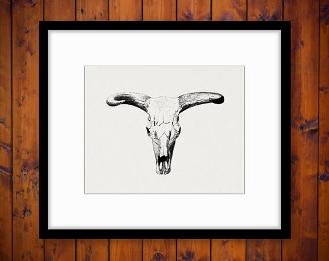 Printable Graphic Western Cow Skull Download Bull Horns Image Digital Antique Clip Art Jpg Png Eps HQ 300dpi No.552