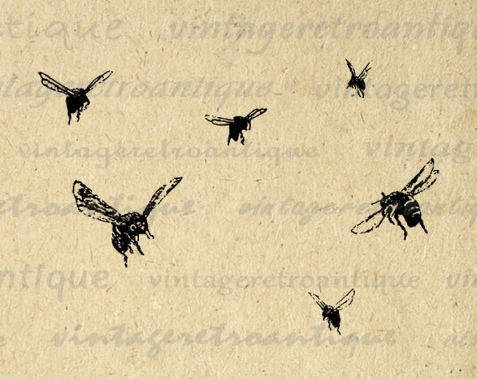 Digital Graphic Flying Bees Printable Bee Collage Sheet Image Download Vintage Clip Art Jpg Png Eps HQ 300dpi No.3506
