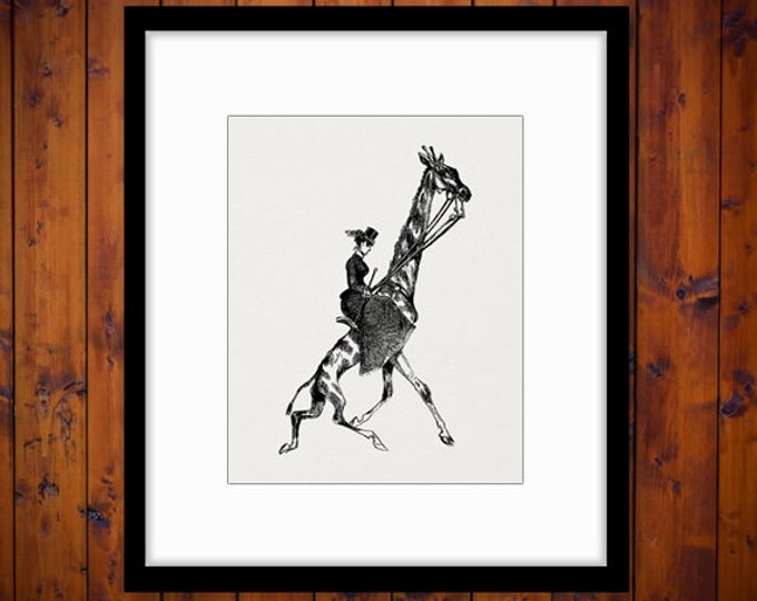 Lady Riding Giraffe Printable Digital Image Antique Illustration Download Graphic Vintage Clip Art Jpg Png Eps HQ 300dpi No.3297