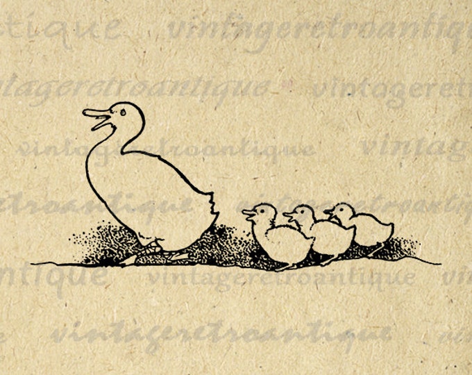 Digital Graphic Duck and Duckings Printable Cute Artwork Download Image Vintage Clip Art for Transfers Printing etc HQ 300dpi No.3660