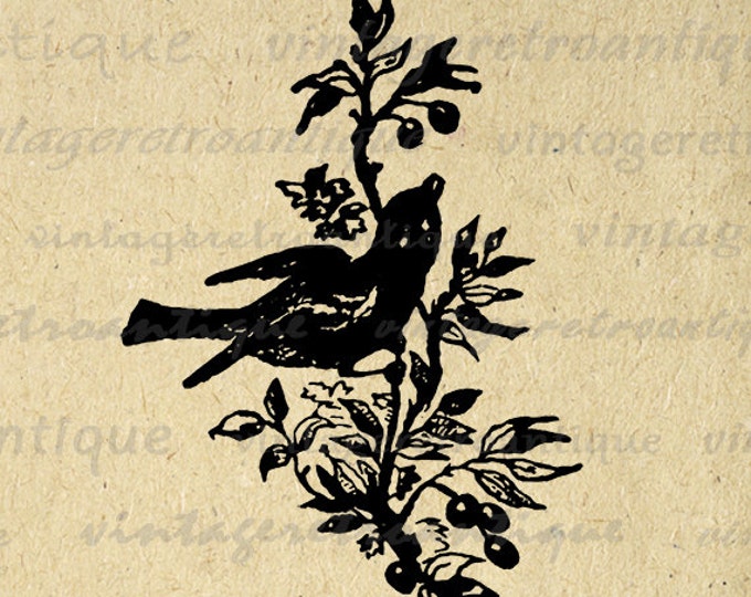 Printable Digital Little Bird Image Download Graphic Illustration Antique Clip Art for Transfers Printing etc HQ 300dpi No.2453