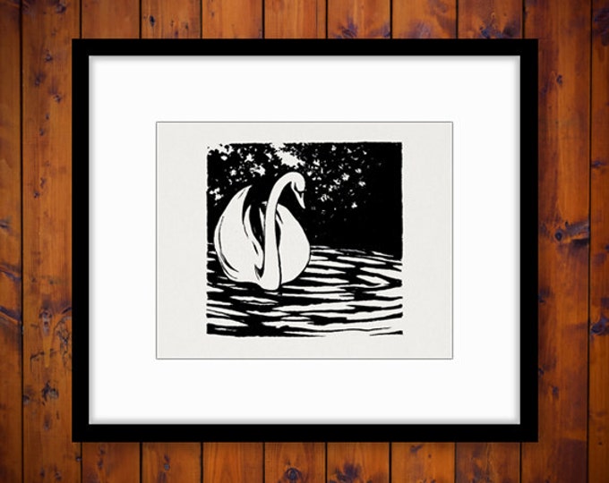 Swan Illustration Graphic Digital Image Bird Artwork Printable Download Vintage Clip Art Jpg Png Eps HQ 300dpi No.1998