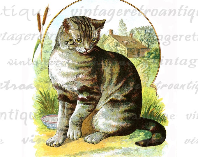 Classic Colorful Cat Illustration Printable Graphic Image Housecat Digital Download Vintage Clip Art for Transfers etc HQ 300dpi No.1984