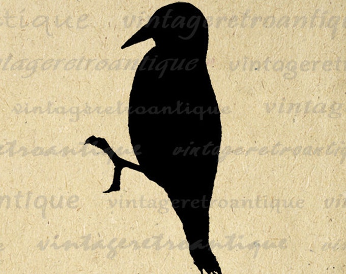 Printable Digital Bird Silhouette Graphic Image Download Vintage Clip Art Jpg Png Eps HQ 300dpi No.3280