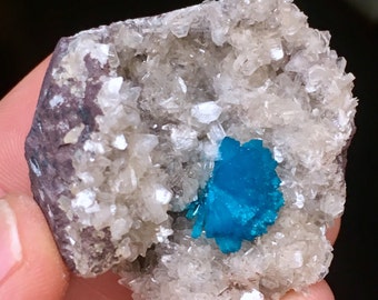 Top Quality 35g Vibrant Cavansite w/ Transparent Stilbite Geode Crystal Specimen - Wagholi Mine, Maharashtra, India - Item:CV17009