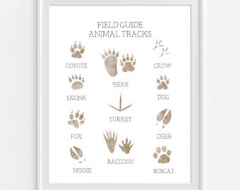 Animal Tracks Art Print, Boys Wall Art, Woodland Nursery Animal, Field Guide, Boys Room Decor, Woodland Decor, Hunting Guide, Wildlife