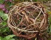 Vine Garden Globe