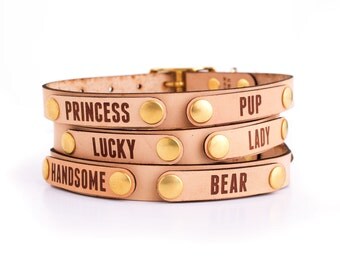 Honest Collar Leather Dog Collar, LARGE 14,18", unique dog collar, funny dog collar, custom dog tags, personalized dog collar