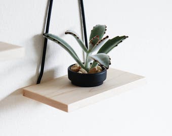 Modern Hanging Planter Maple