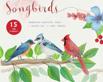 Song Bird Watercolor Clipart, Bird graphics for commercial use, red and blue birds clip art by SLS Lines