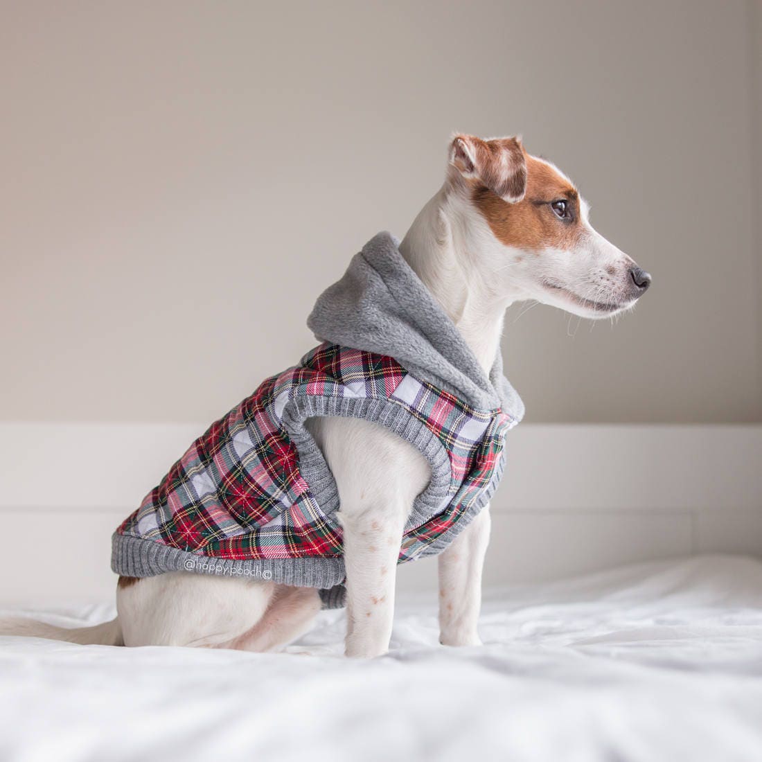 Flannel Fleece Dog hoodie Dog jacket Dog clothing Puppy