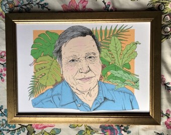 David Attenborough Illustration Art Print