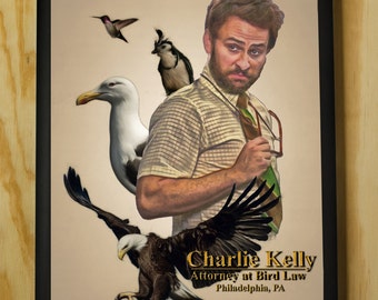 Charlie Kelly: Attorney at Bird Law - It's Always Sunny in Philadelphia - Wall Art - Color Pencil Portrait Poster Print