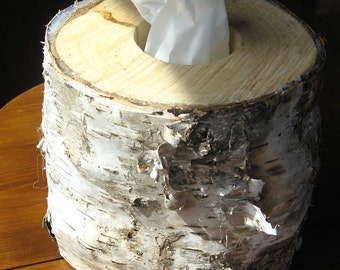 Unique birch tissue box cover