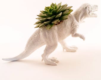 T-Rex Dinosaur Planter + Succulent \\ Succulent Planter \\ Home Decor \\ Gift \\ Office Decor \\ Desk Plant
