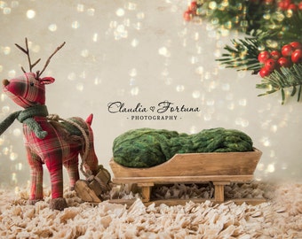 Newborn Digital Backdrop, Christmas Digital Backdrop , DIGITAL BACKDROP/BACKGROUND