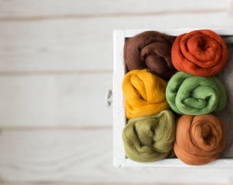 Wool roving set of 6 - Spinning supplies Mixed 6 warm autumn colors combed tops needle felting wool assortment Merino wool starter kit
