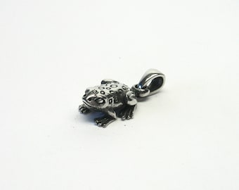 Frog jewelry pendant Silver 925 frogs Toad Toad frog pendant