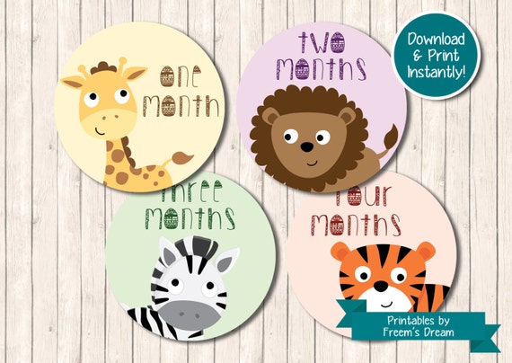 printable baby animal monthly stickers jungle or zoo animal