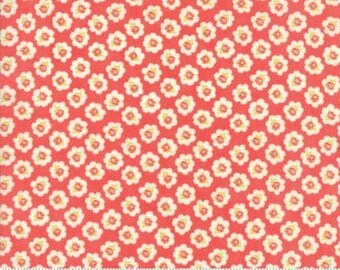 Coney Island by Fig Tree Quilts 20281 12