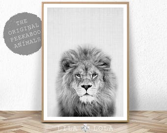 Nursery Animal Print, Lion Wall Art, Kids Room Poster, Printable Kids Gift, Digital Download, Black and White Lion, Lila and Lola