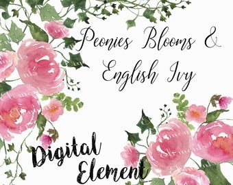 Floral Clip-art, Watercolor Peony Clip-art, Watercolor English Ivy Clip-art, Pink Floral Peony Clip-art. No. WC48