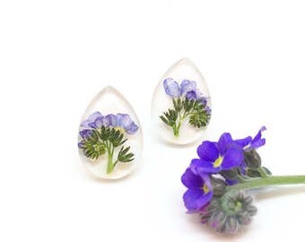 Blue flowers earrings, Pressed flowers stud earrings, Teardrop plugs, Flower resin earrings, Forget me not earrings, Nature jewelry