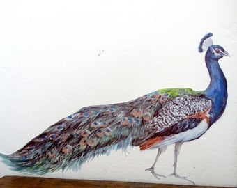 Peacock wall decor, peacock wall decal, peacock home decor accents, peacock art, bird wall decor, tropical wallpaper, peacock bedroom decor