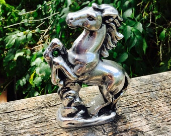 Polished Wild Horse