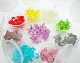 small box hydrangea small Colorful Real Dried flowers Glass bottle filler jewelry findings supply filler for glass globe