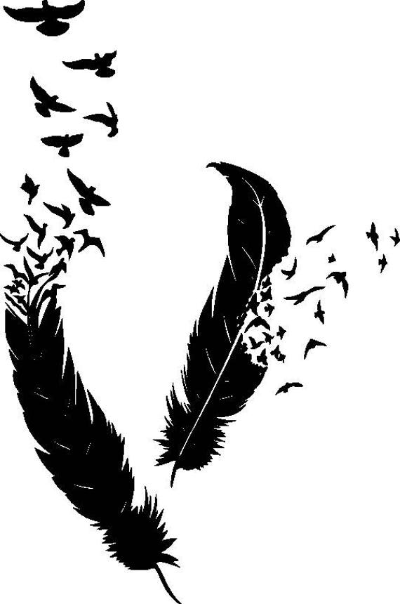 Download Feather Made Of Birds Art Writing Writer Sybolism Life Meaning