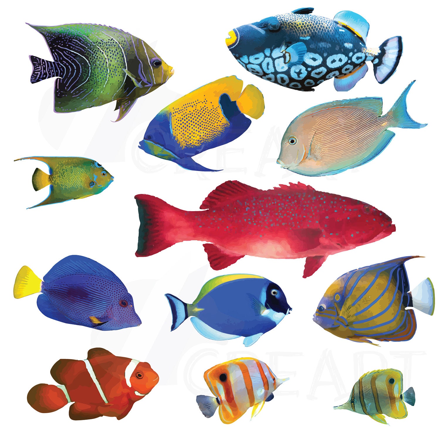 Watecolor Tropical Fish Clip Art 12 tropical fish vectors