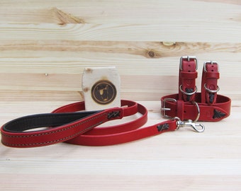 Dog Collar and Leash Set in Red Leather - Comfort Adjustable Collar and Strong Classic 4 Foot Colorful Leash with Comfort Grip - YupCollars