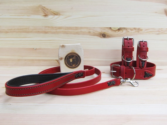Dog Collar and Leash Set in Red Leather - Comfort Adjustable Collar and Strong Classic 4 Foot Colorful Leash with Comfort Grip - YupCollars
