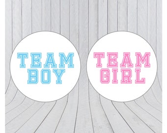 Team boy team girl stickers, Gender reveal stickers, Team pink, Team blue, he or she, pink or blue, Gender reveal party, 081