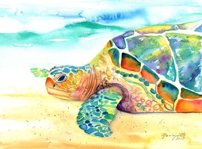 turtle original watercolor sea turtle paintings rainbow