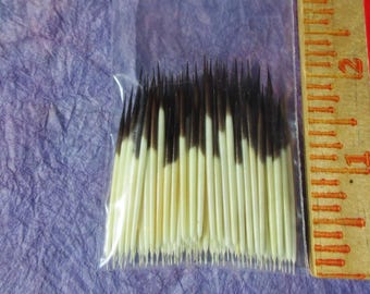American Porcupine Quills, 100 Medium Quills, Craft Supply, Nature Crafts, Quillwork, Quill Beads, Native American Crafts, Quill Earrings