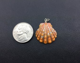 0026 Sunrise Shells Hawaii Pendants