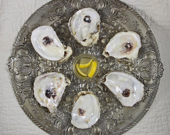 Faux Sterling Silver Oyster Plate with real oyster shell wells