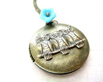 Owl Locket Necklace,Photo Locket, Owl Pendant Necklace,Owl Necklace, Owl Jewelry, Picture Locket, Bird Necklace,Brass Locket,Memory Locket