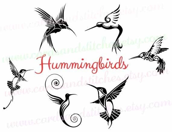 Free Free 227 Free Hummingbird Svg Files SVG PNG EPS DXF File