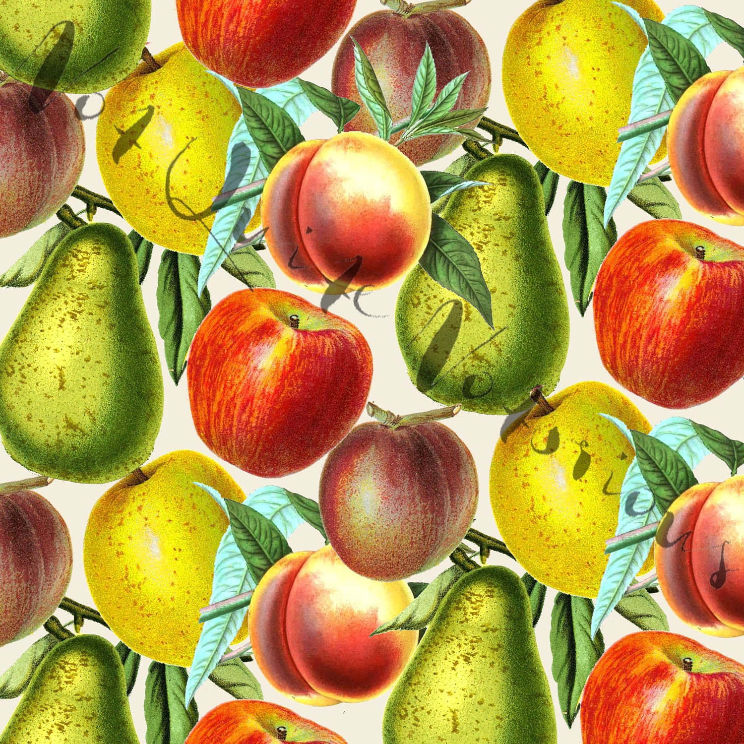 Fruit (Pears, Apples, Peaches, Plums) Digital Paper Instant Download