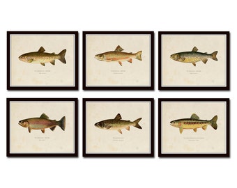 Vintage Trout Print Set No. 2, Natural History Art, Giclee, Art, Print Set, Woodland Art, Fish Print, Trout, Fly Fishing Art, Angler Art
