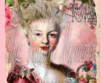 Pink Marie Antoinette Fabric Block Quilts Crafts Altered Art Pillows Tote Bags Applique NMA2